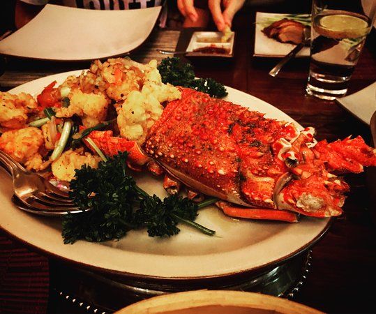 Royal Orchid Restaurant